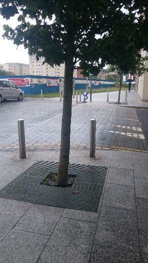 A tree blocking access to the dropped kerb.