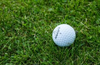 a white golf ball sits on top of some lush green grass